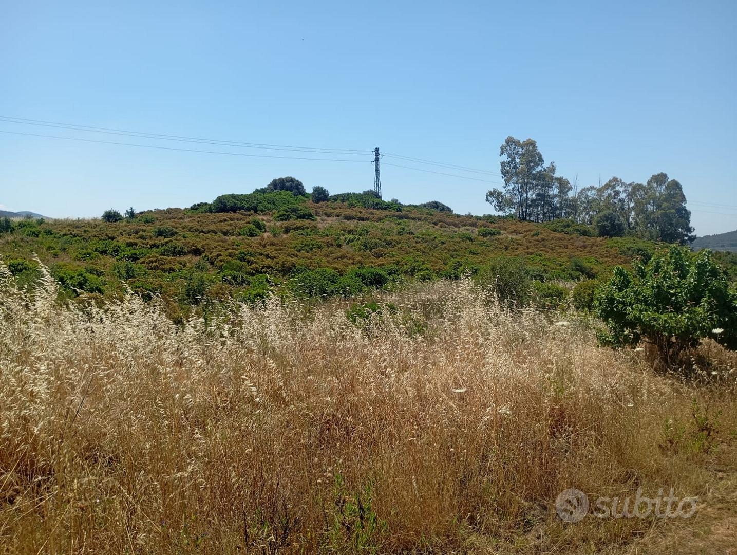 Donori: Terreno agricolo Località Sa Roja Fridrigu - Vista 5