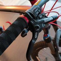 Mountain bike Giant