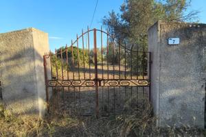 Terreno agricolo 5000 metri caffè Roma /landrigga