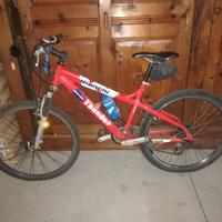 bicicletta
