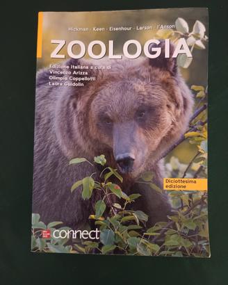zoologia