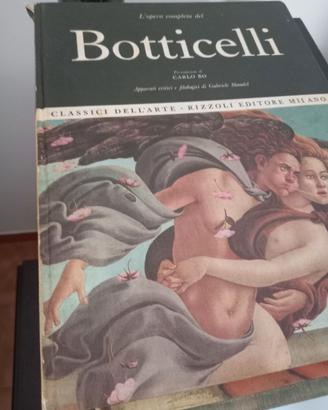 Libri arte rizzoli