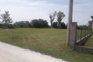 Vendita terreno agricolo