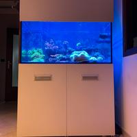 Acquario marino