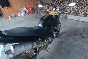 Hornet 600