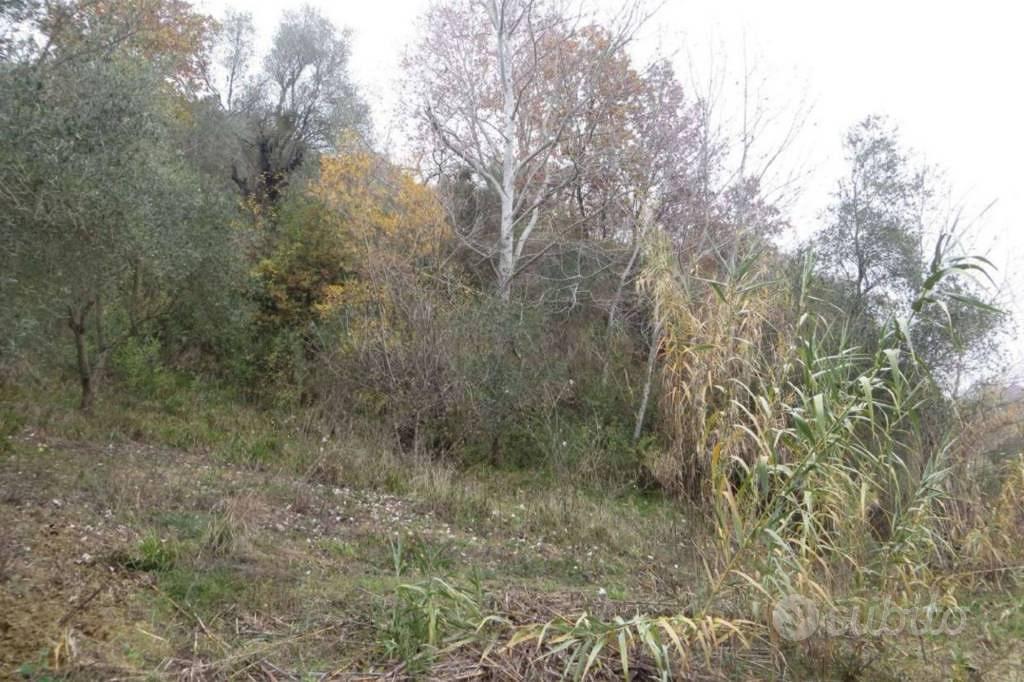 Immobile in asta di 94562 m² a San Giorgio del San - Altro