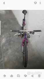 Bici Colnago