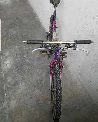 Bici Colnago
