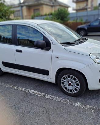 Panda Easy Gpl 80000 km bianca