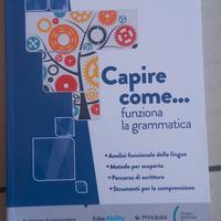 Capire come... funziona la grammatica 