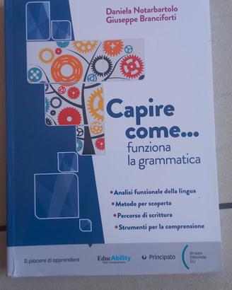 Capire come... funziona la grammatica 