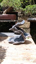 struttura ishizuki bonsai 