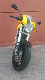 Monster