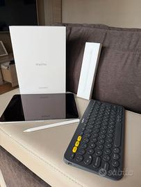 iPad Pro 11' 256Gb 2' gen