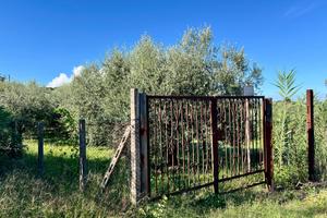 Terreno agricolo