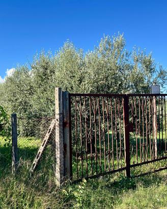 Terreno agricolo