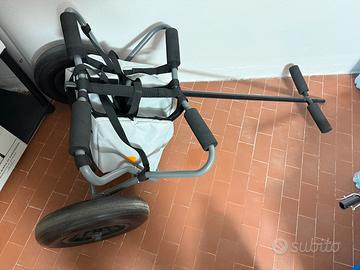 Carrello wind surf
