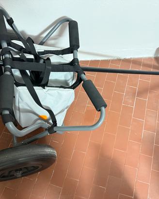 Carrello wind surf