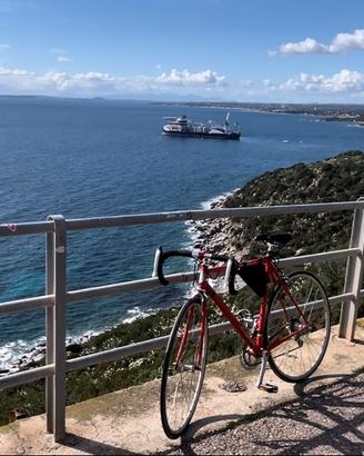bicicletta bici da corsa Pinarello