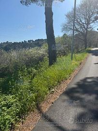 Terreno Agricolo Montesilvano [A4335307]