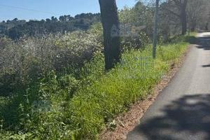 Terreno Agricolo Montesilvano [A4335307]