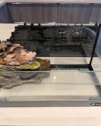 Acquario / tartarughiera in vetro