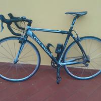 Colnago Arte bici da corsa