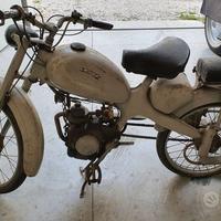 Motom 50 3v