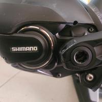 motore  shimano 8000 e batteria 378 watt