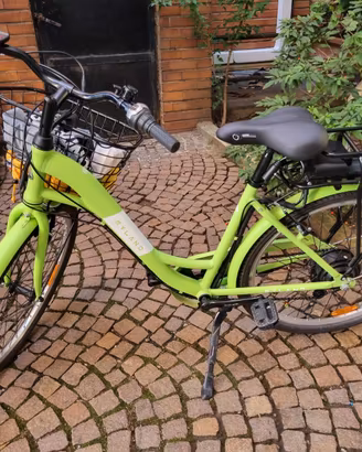 Bicicletta elettrica a pedalata assistita