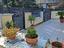 Immagine 26