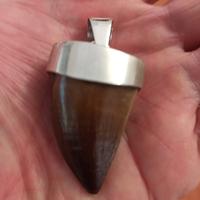 pendente da  uomo dente fossile argento 925