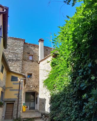 Rustico in sasso con giardino