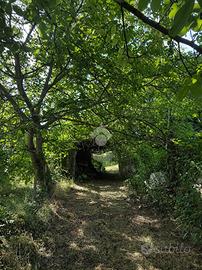 TER. AGRICOLO A MARINO