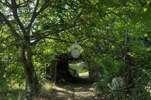TER. AGRICOLO A MARINO