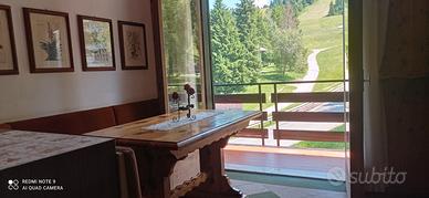 Bilocale fianco piste da sci