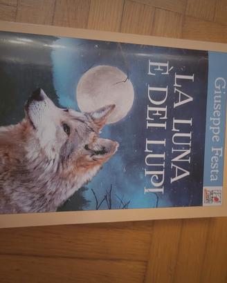 libri 