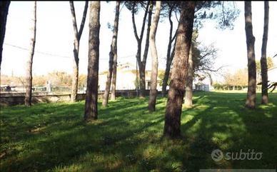 Terreno agricolo
