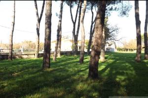 Terreno agricolo