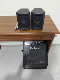 Amplificatore Roland Pm 30  200w.
