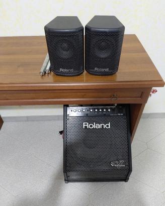 Amplificatore Roland Pm 30  200w.
