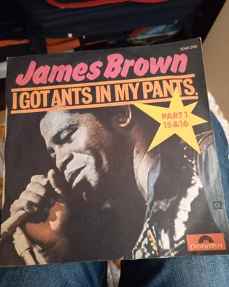 45 giri James Brown