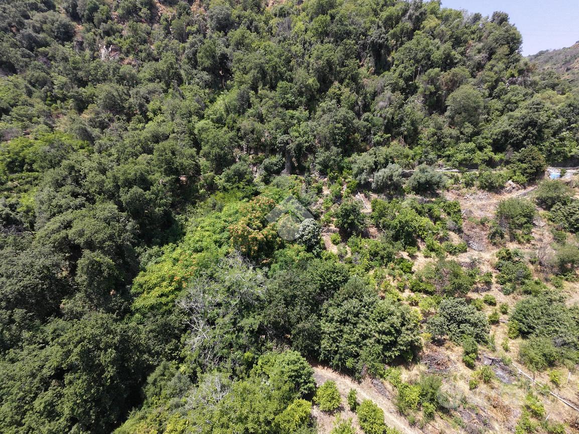 TER. AGRICOLO A GIARRE - Vista 2
