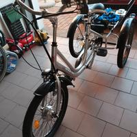 bici elettrica tre ruote 