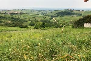 Lotto di terreno edificabile Montu' Beccaria