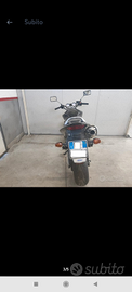 Honda Hornet storica FMI