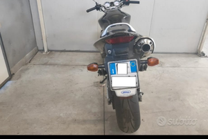 Honda Hornet storica FMI