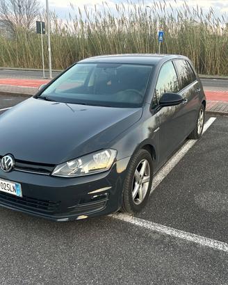 Volkswagen Golf serie 7 - 1.4 TGI 5p. Executive Bl
