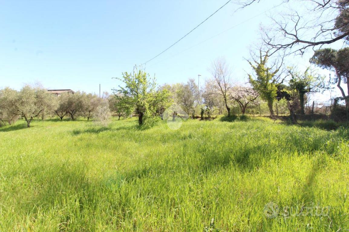 TER. RESIDENZIALE A POGGIO NATIVO - View 5