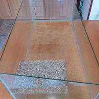 Acquario per tartarughe in vetro con isolotto